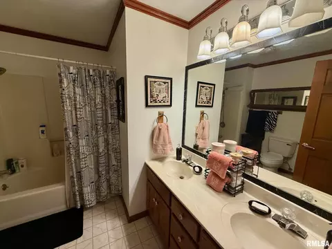 2512 Charlack Ave, Springfield, IL 62704 photo 28