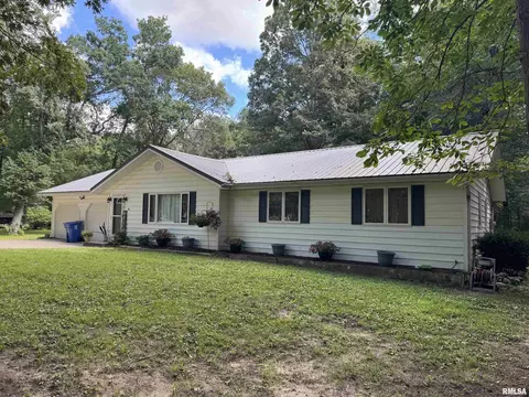 393 W Hickory Hills St, Havana, IL 62644