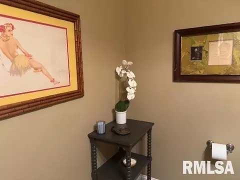 Other - 2508 Muirfield Rd, Springfield, IL 62711 photo 11 of 34