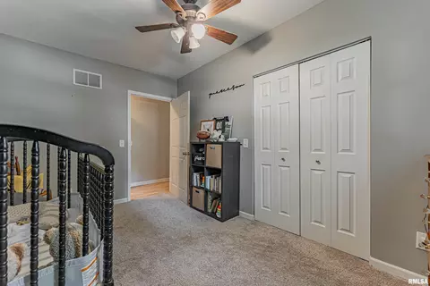Other - 121 W Wayne St, Mount Pulaski, IL 62548 photo 4 of 9