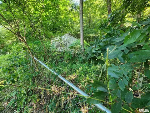 9575 County Road 410, Hannibal, MO 63401 photo 43