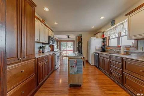 1193 2175th Ave, Beason, IL 62512 photo 14