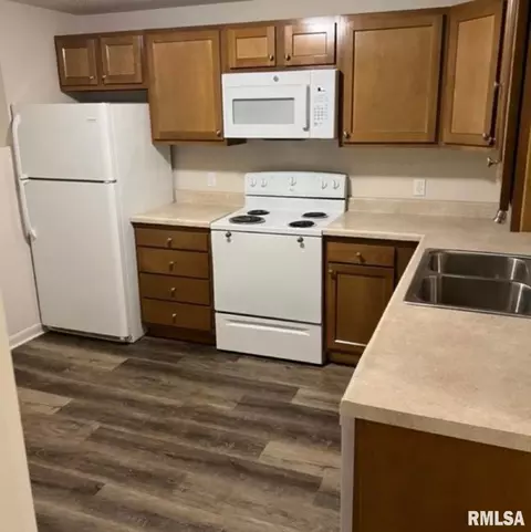 206 S Walnut St, Springfield, IL 62704 photo 3