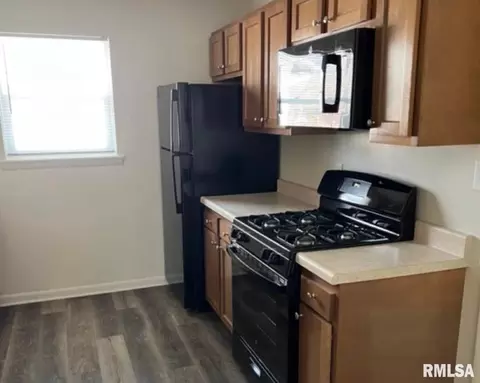 206 S Walnut St, Springfield, IL 62704 photo 13