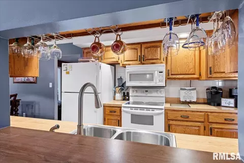 2201 Warwick Dr, Springfield, IL 62704 photo 15
