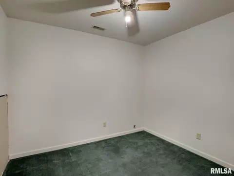 1000 E 2000th St, Liberty, IL 62347 photo 19