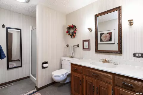 254 County Road 2500 E, Carlock, IL 61725 photo 21