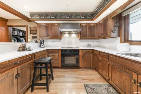 254 County Road 2500 E, Carlock, IL 61725 photo 6