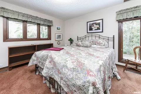 254 County Road 2500 E, Carlock, IL 61725 photo 14
