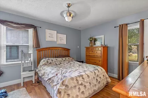 2608 Cardifs Ave, Springfield, IL 62704 photo 18