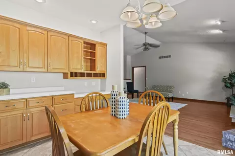 911 Mesa Dr, Chatham, IL 62629 photo 15
