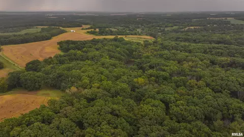 34202 395th Ln, Baylis, IL 62314