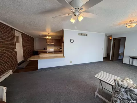 Living - 369 N Kellogg St, Galesburg, IL 61401 photo 1 of 5