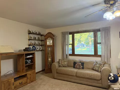 Living - 515 9th St, Carrollton, IL 62016 photo 2 of 2