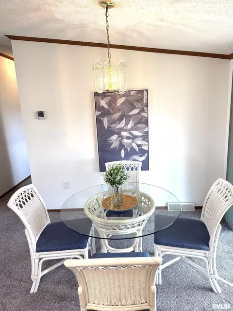 Dining - 123 Junction St, Ursa, IL 62376 photo 2 of 2