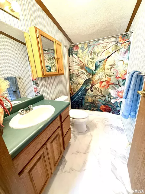 Bath - 123 Junction St, Ursa, IL 62376 photo 2 of 3