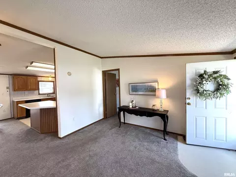 Entry Way - 123 Junction St, Ursa, IL 62376 photo 1 of 1