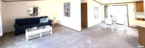 Living - 123 Junction St, Ursa, IL 62376 photo 1 of 2