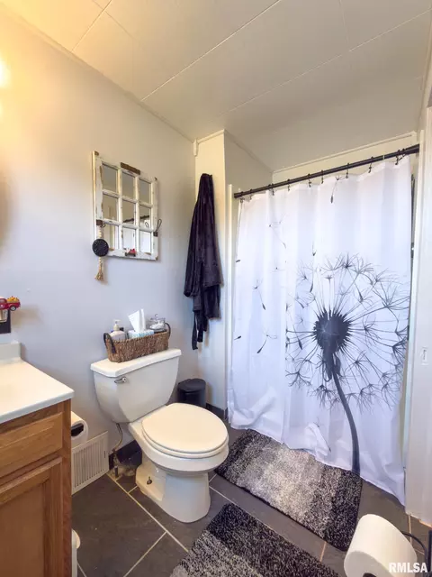 306 N Harshbarger St, Abingdon, IL 61410 photo 24