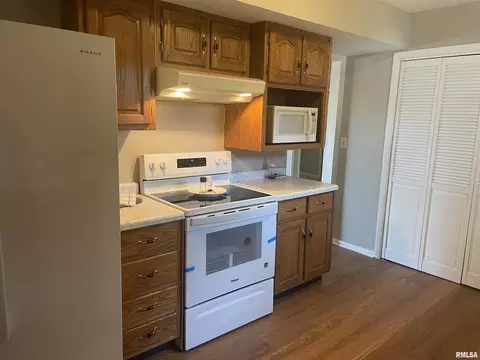 25 Royal Rd, Springfield, IL 62702 photo 29