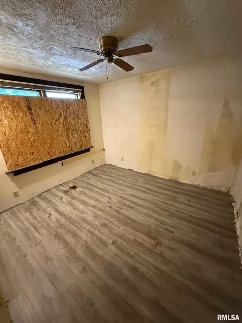 229 W Allen St, Springfield, IL 62704 photo 9
