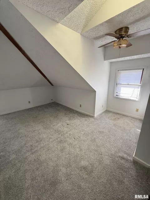 229 W Allen St, Springfield, IL 62704 photo 15