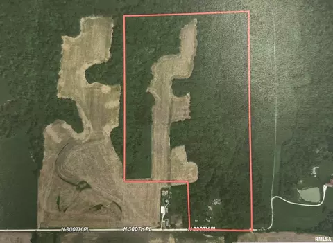 87 12 Acres Sec 17 3s 5w, Liberty, IL 62347