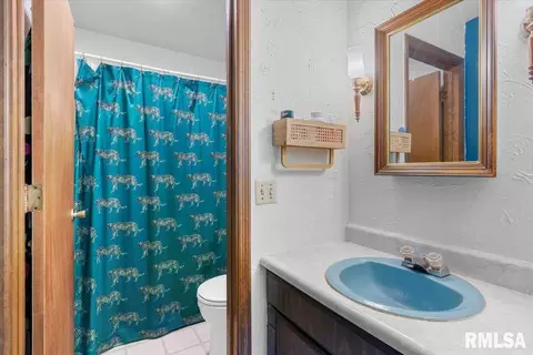 2229 Trowbridge Rd, Springfield, IL 62703 photo 20