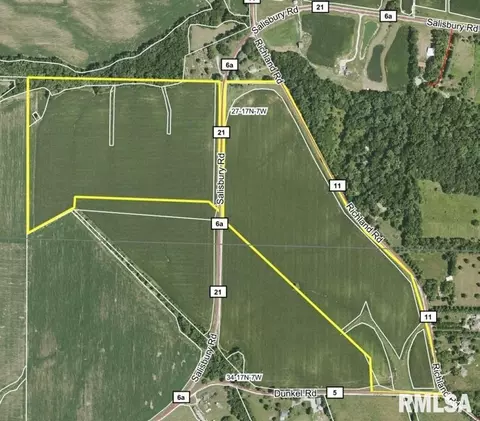 Salisbury Road, Pleasant Plains, IL 62677