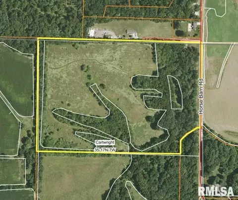 Horse Barn Road, Pleasant Plains, IL 62677