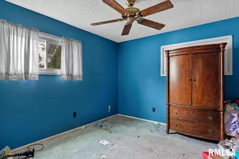 52 Archer Ave, Springfield, IL 62704 photo 11