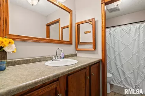 719 E Walnut St, Chatham, IL 62629 photo 28