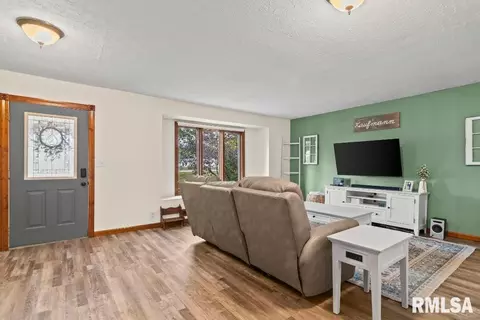 719 E Walnut St, Chatham, IL 62629 photo 7