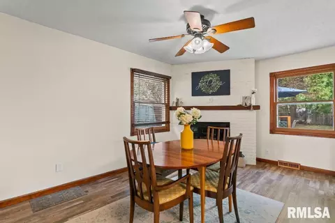 719 E Walnut St, Chatham, IL 62629 photo 16