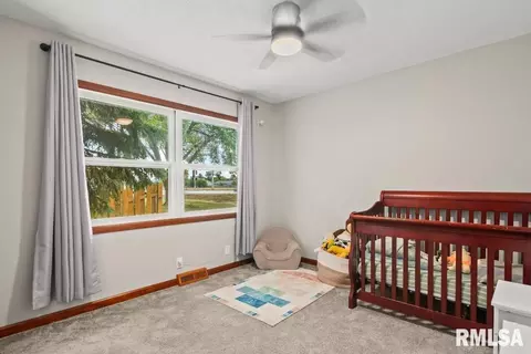 719 E Walnut St, Chatham, IL 62629 photo 21
