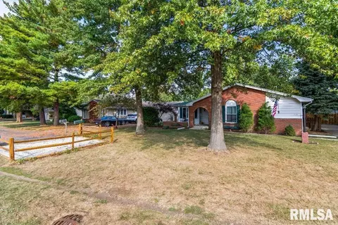 719 E Walnut St, Chatham, IL 62629 photo 35