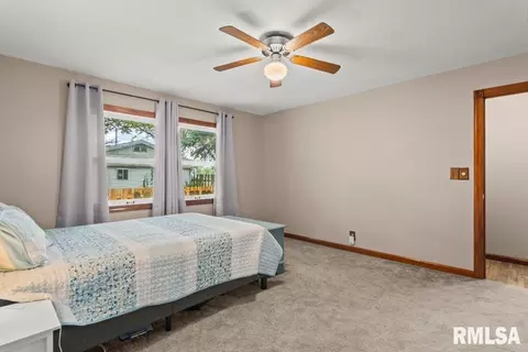 719 E Walnut St, Chatham, IL 62629 photo 19