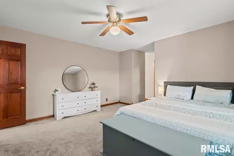 719 E Walnut St, Chatham, IL 62629 photo 18