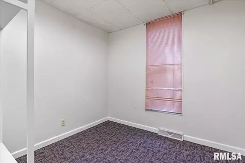122 W Pine St, Springfield, IL 62704 photo 19