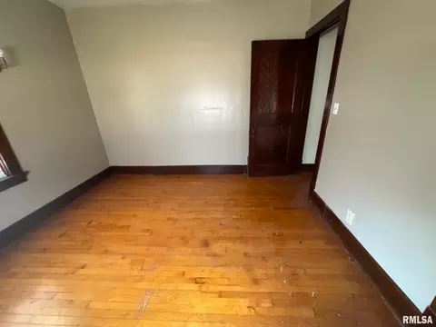 1117 E Ash St, Springfield, IL 62703 photo 7