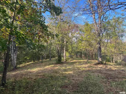 Rr125 E Street, Versailles, IL 62378 photo 31