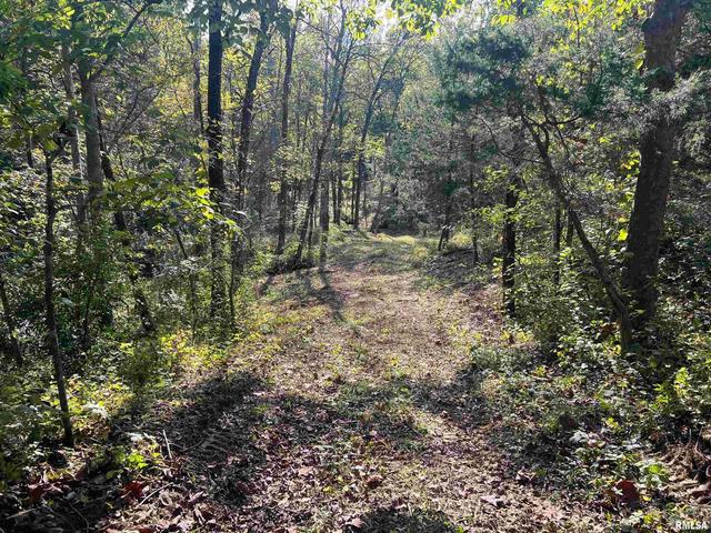 Rr125 E Street, Versailles, IL 62378