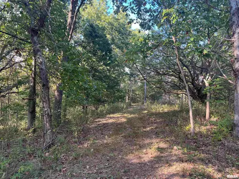 Rr125 E Street, Versailles, IL 62378 photo 30