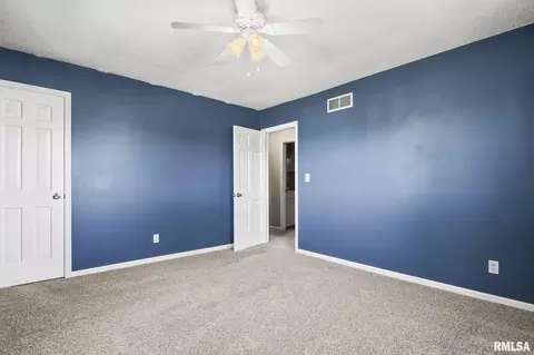 313 S Durkin Dr, Springfield, IL 62704 photo 15