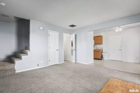 313 S Durkin Dr, Springfield, IL 62704 photo 7