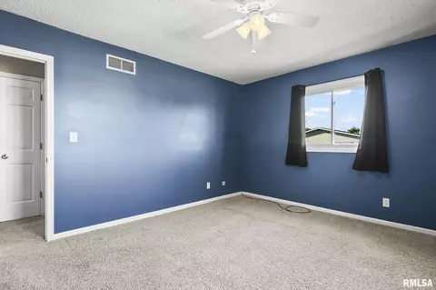 313 S Durkin Dr, Springfield, IL 62704 photo 18