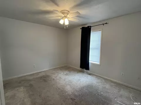 202 Eagle Ridge Dr, Chatham, IL 62629 photo 10