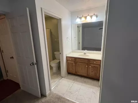 202 Eagle Ridge Dr, Chatham, IL 62629 photo 15