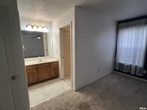 202 Eagle Ridge Dr, Chatham, IL 62629 photo 14