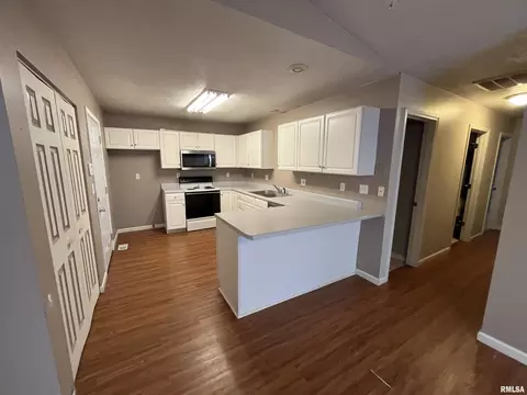 202 Eagle Ridge Dr, Chatham, IL 62629 photo 4